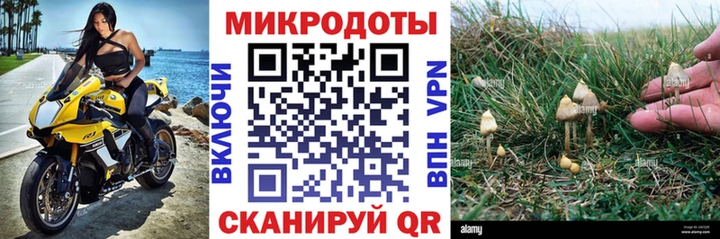 сколько стоит  ОМГ ОМГ вход  Галлюциногенные грибы Magic Shrooms  Чебаркуль 